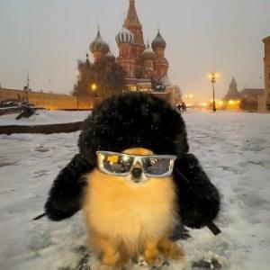 pw761.castledev.ru